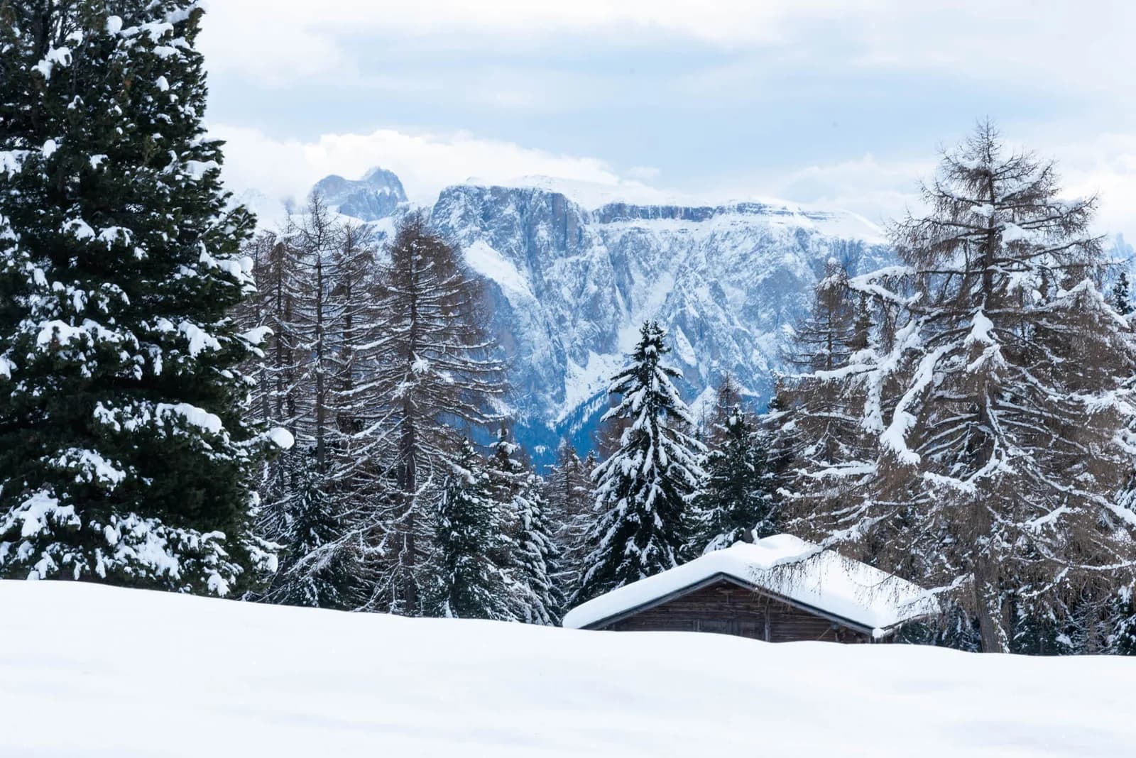 Verschneite Villanderer Alm mit Hütte, im Hintergrund die Dolomiten